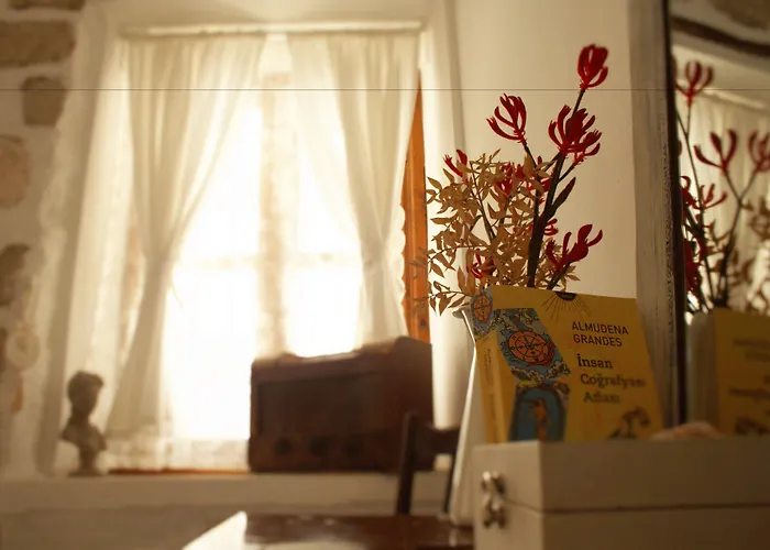 Morlimon 阿拉恰特