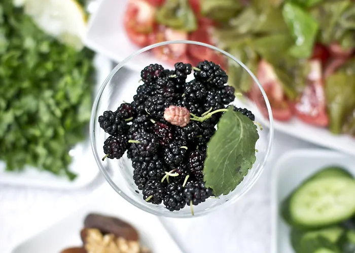 بيت ضيافة Morlimon 3*