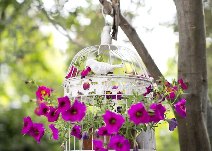 Morlimon 3* ألاتشاتي