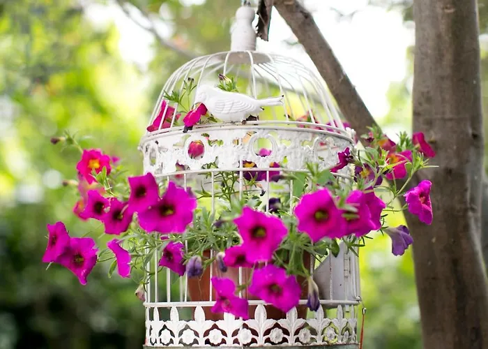 Morlimon بيت ضيافة ألاتشاتي