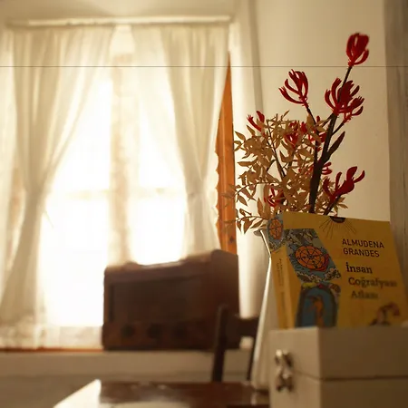 Morlimon 阿拉恰特