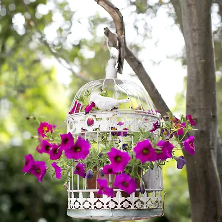 Morlimon 3* 阿拉恰特