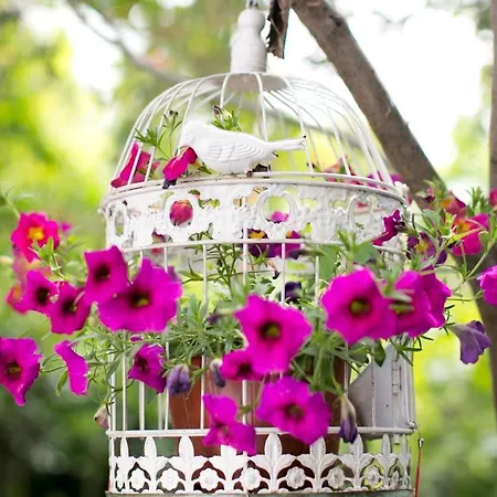 Morlimon 招待所 阿拉恰特